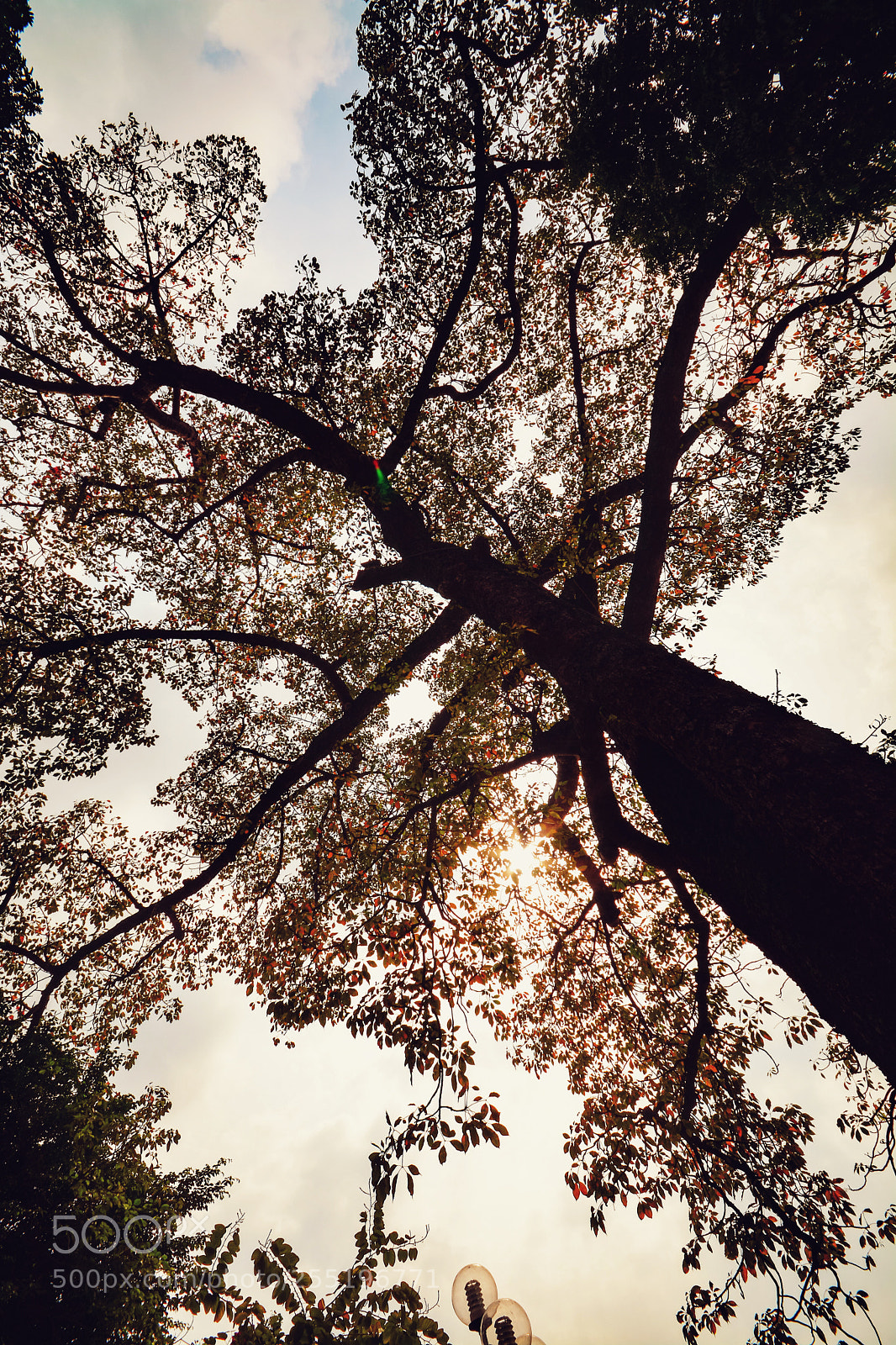 Nikon D7100 sample photo. Untitled photography
