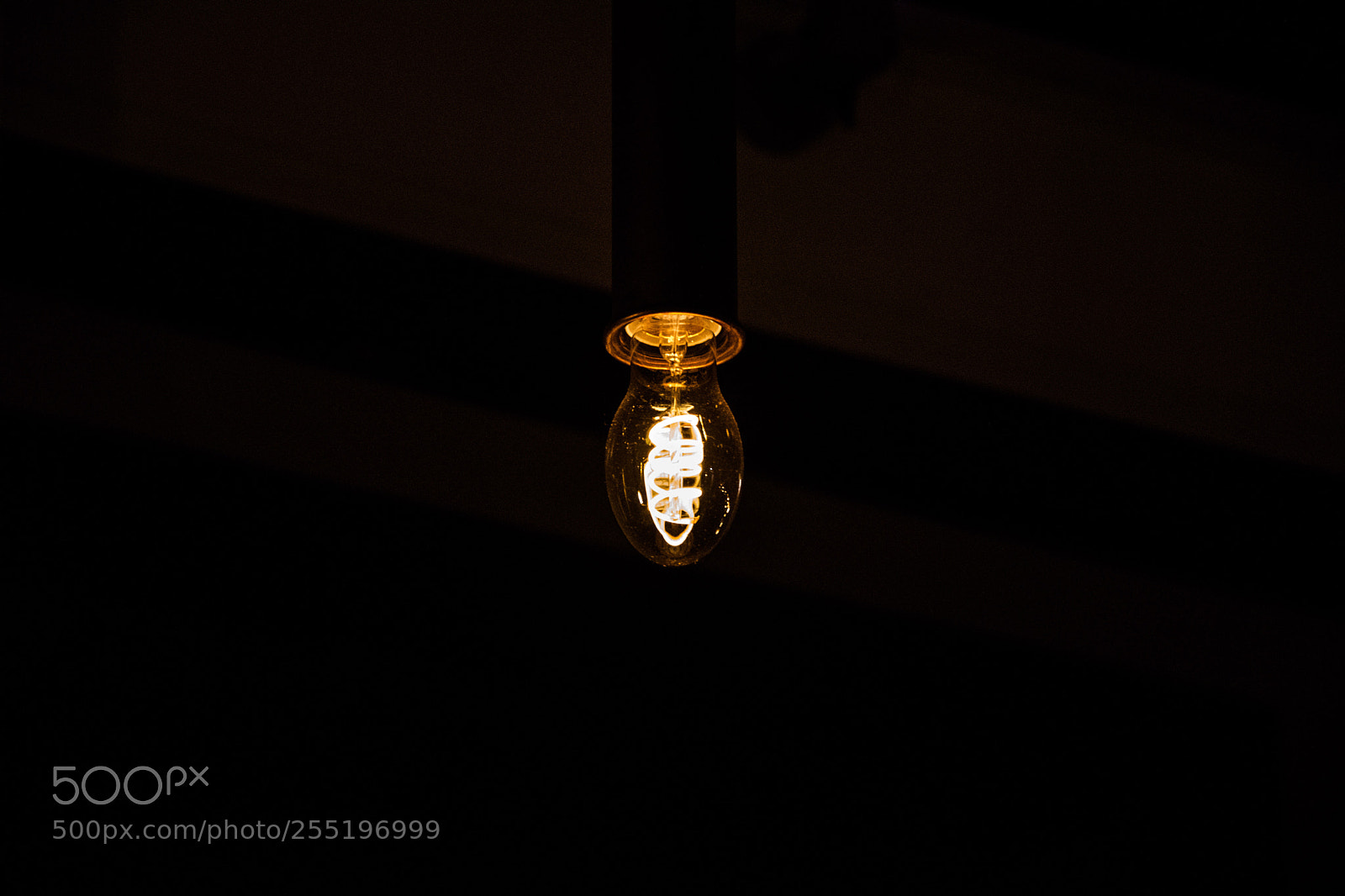 Nikon D5600 sample photo. Light photography