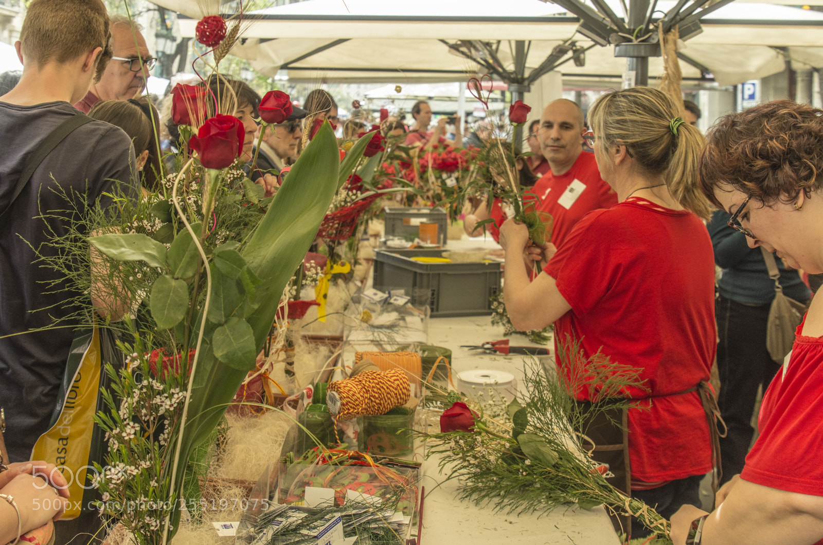 Nikon D7200 sample photo. Rosas para sant jordi photography