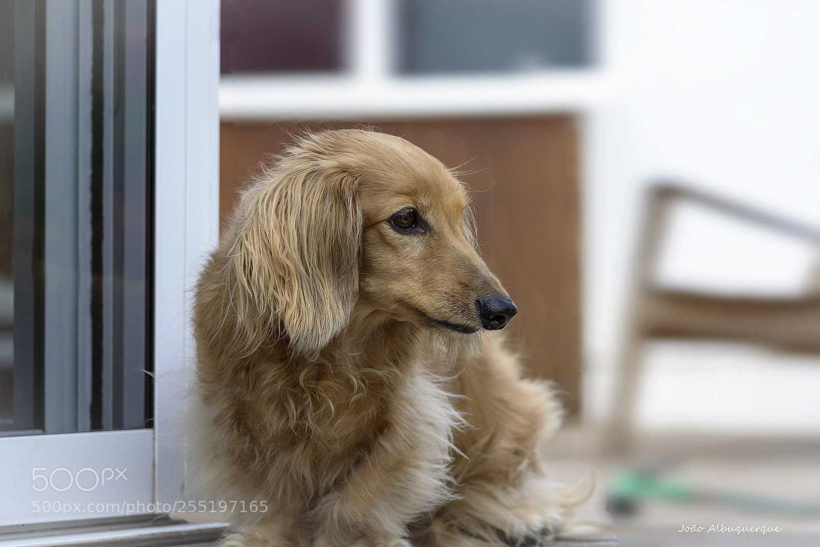 Nikon D5200 sample photo. Bella posing photography