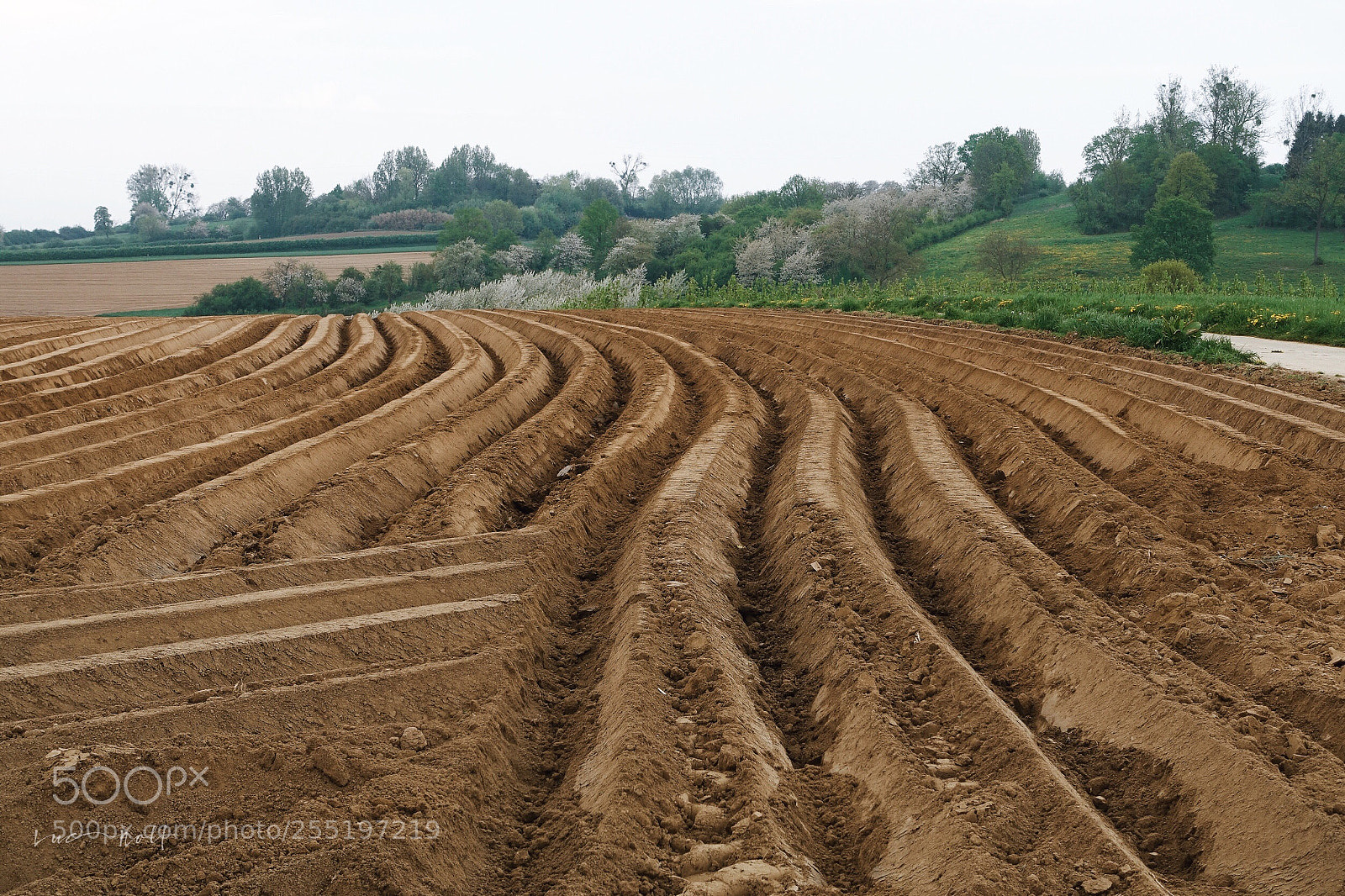 Sony Cyber-shot DSC-RX100 III sample photo. Fresh ploughed field photography