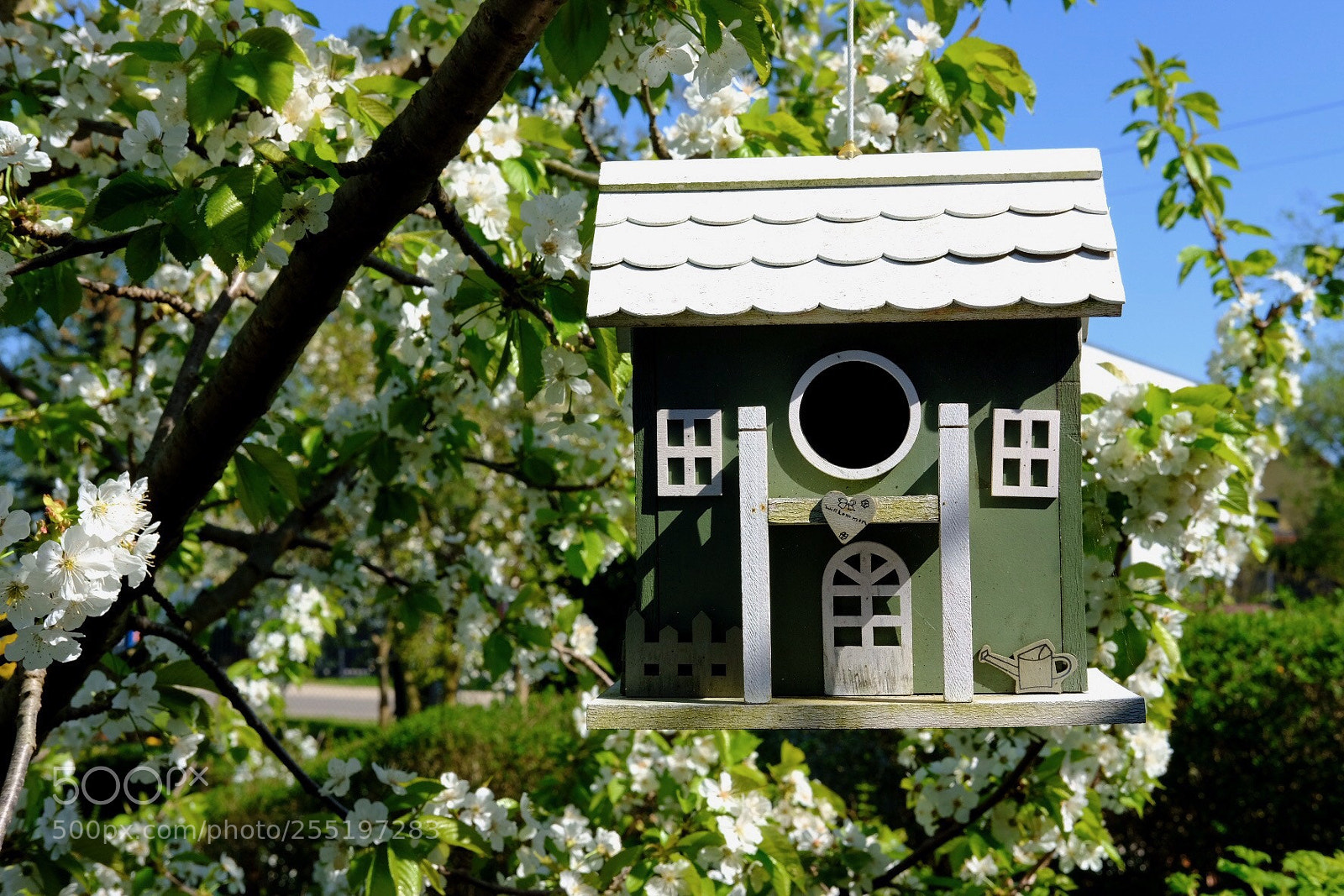 Fujifilm X-T2 sample photo. Bird house photography