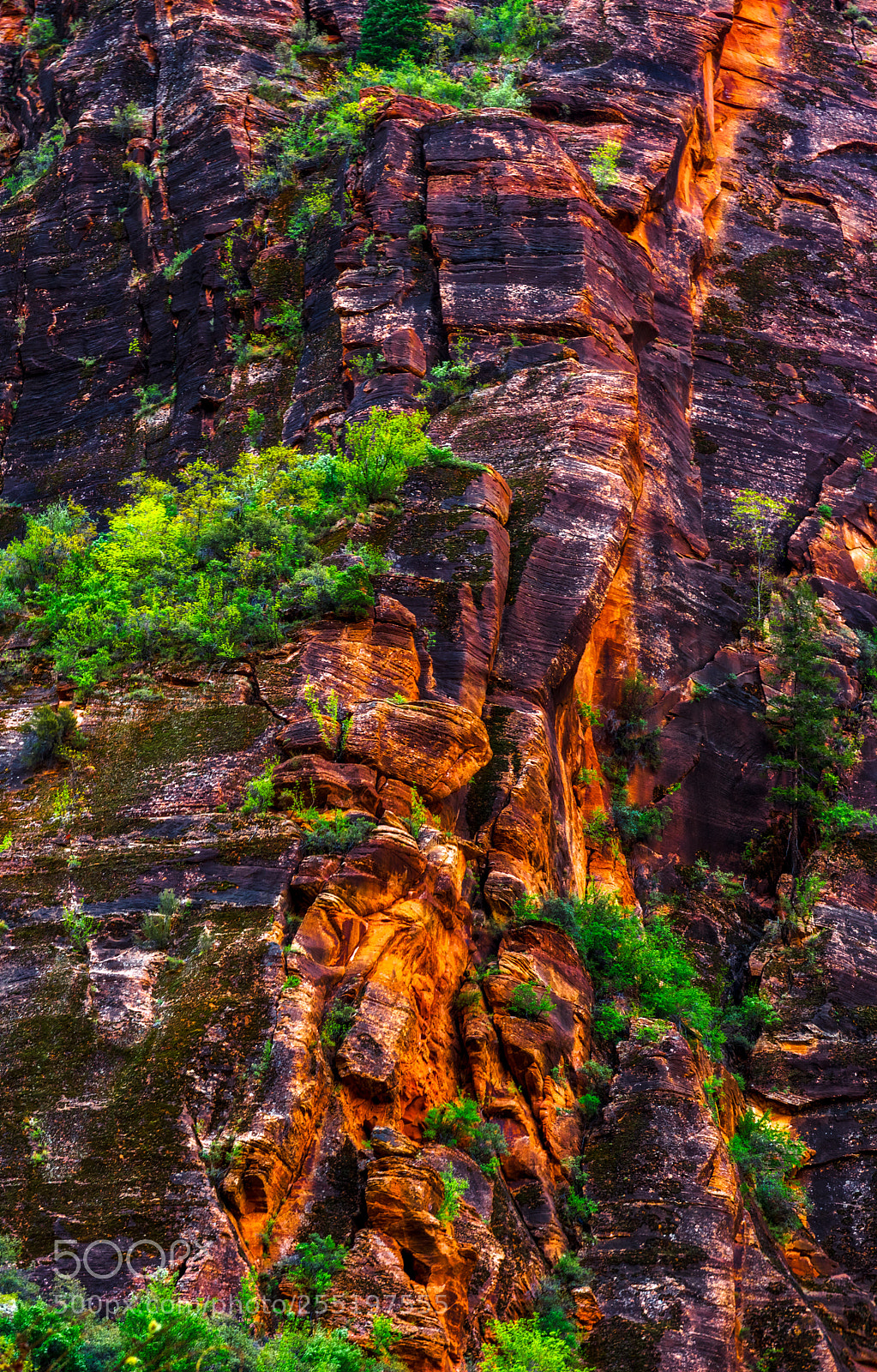 Pentax K-3 II sample photo. Zion national park photography