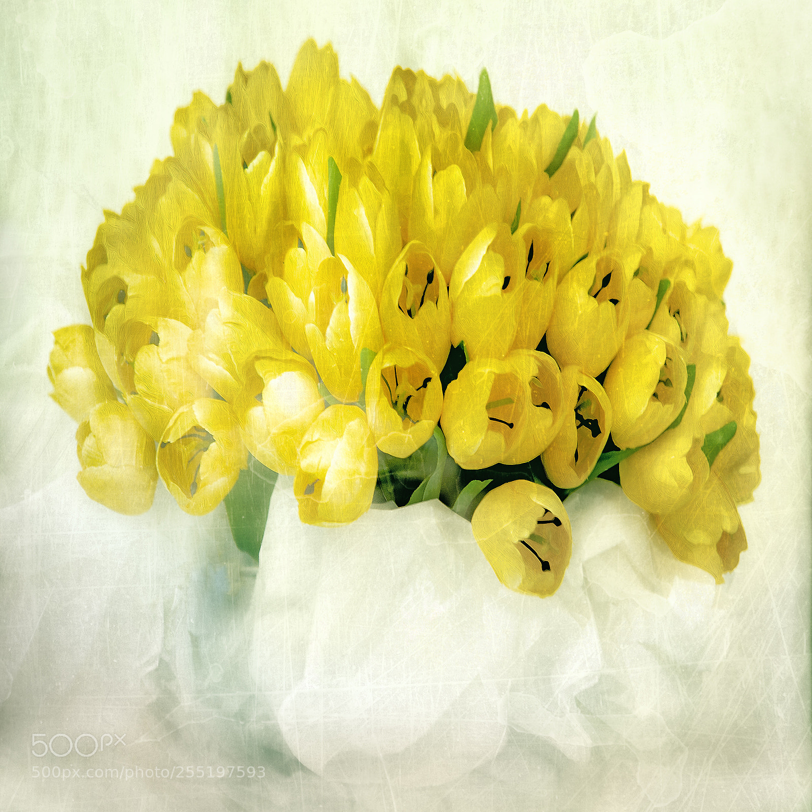 Canon EOS 40D sample photo. Toile et voile photography