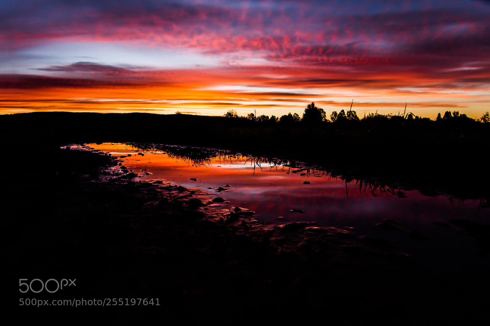 Canon EOS 7D sample photo. Colorful sunrise photography