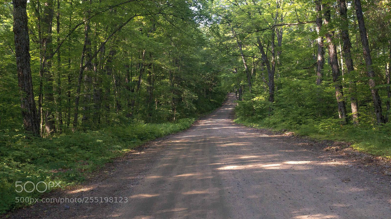 Sony SLT-A58 sample photo. 369.jpg photography