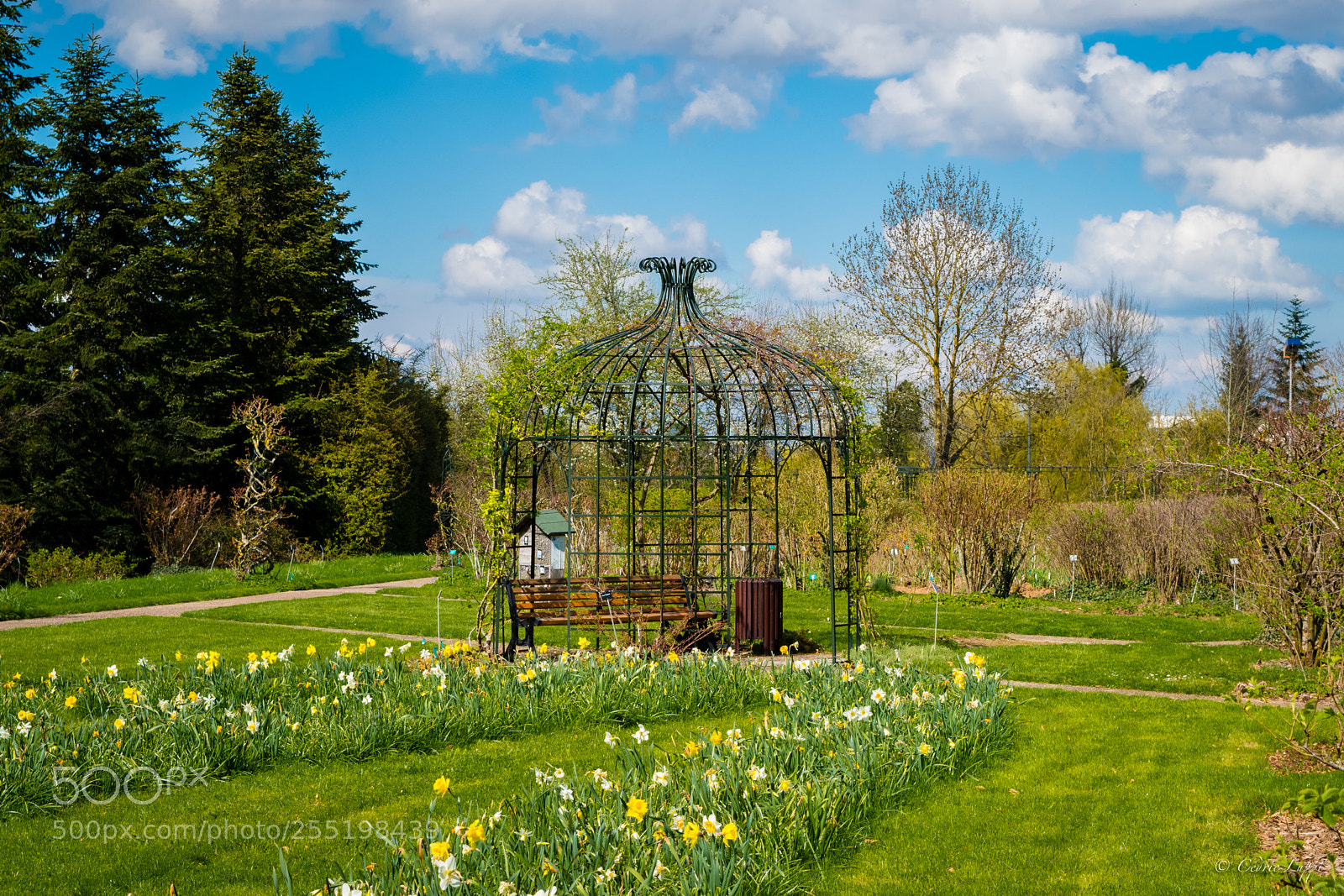 Nikon D5500 sample photo. Le temps d'une pause photography
