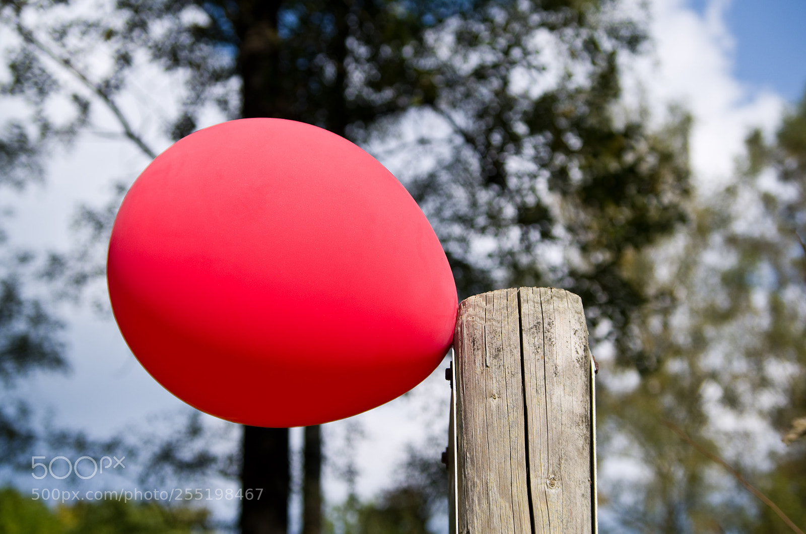 Pentax K-30 sample photo. A walk in the photography