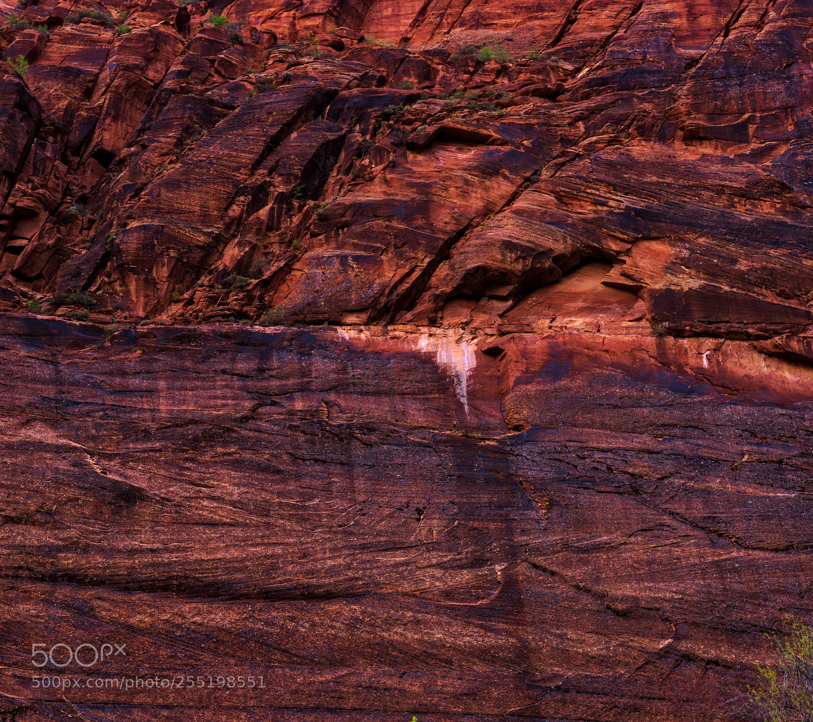 Pentax K-3 II sample photo. Zion national park photography