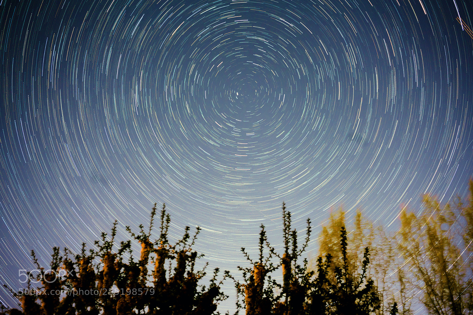 Sony a7R II sample photo. Star trails photography