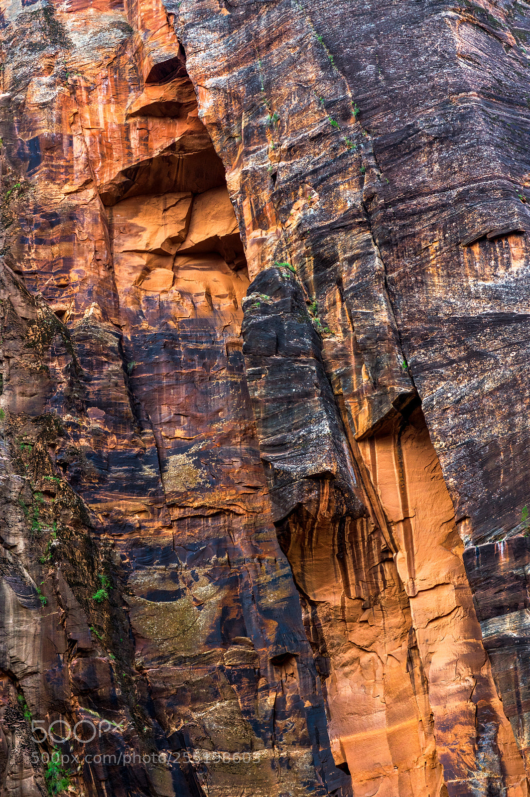 Pentax K-3 II sample photo. Zion national park photography