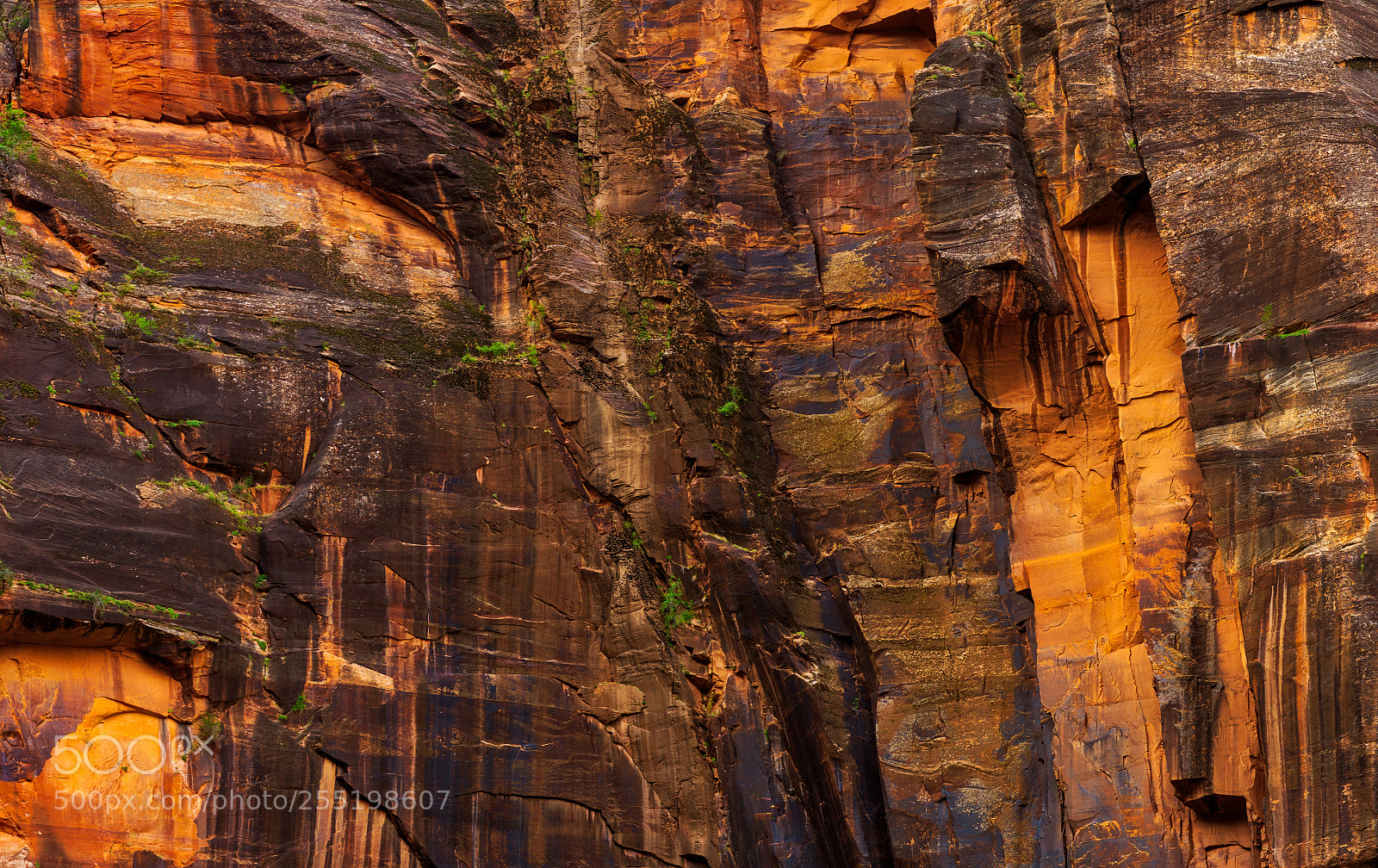 Pentax K-3 II sample photo. Zion national park photography