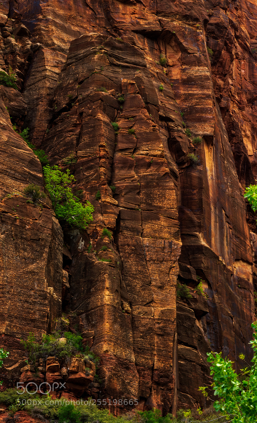 Pentax K-3 II sample photo. Zion national park photography