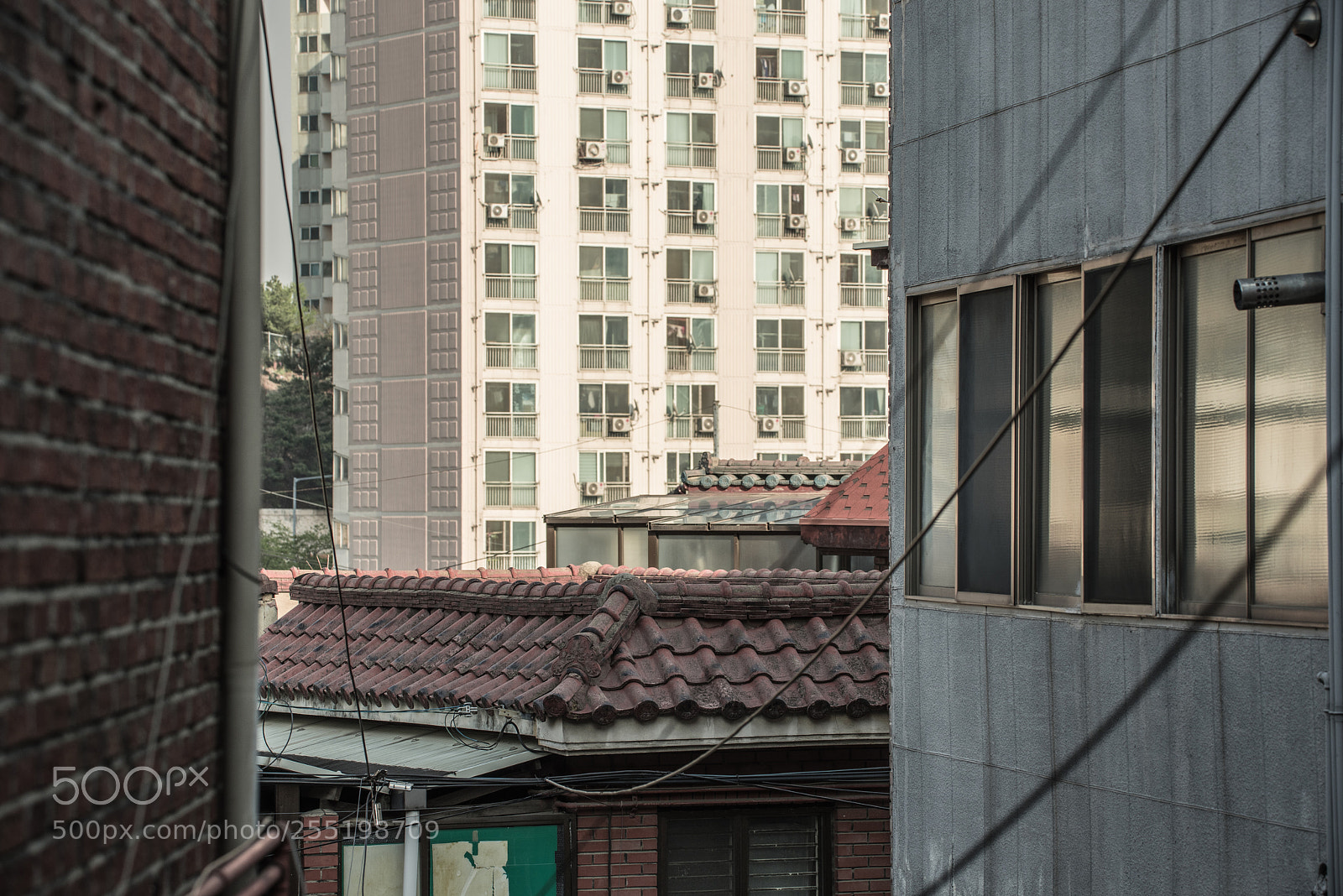 Pentax K-1 sample photo. Frame photography