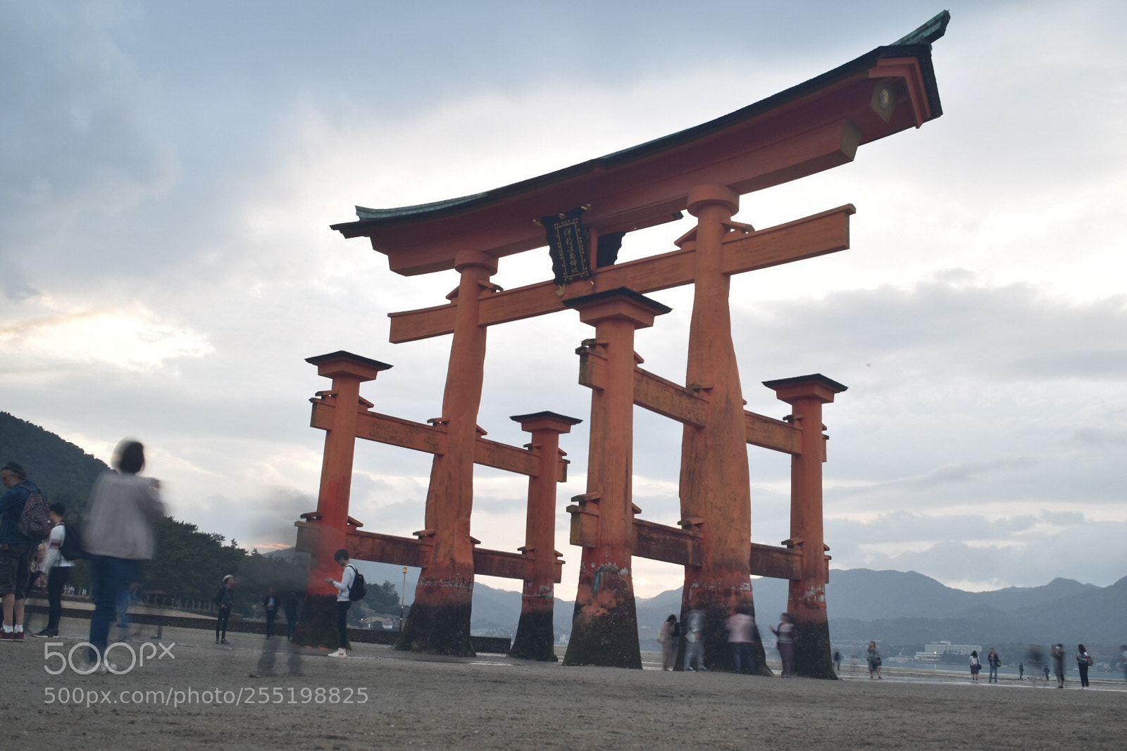 Nikon D5500 sample photo. Miyayima photography