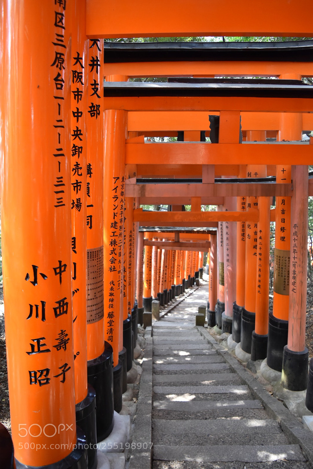 Nikon D5500 sample photo. Fushimi inari photography