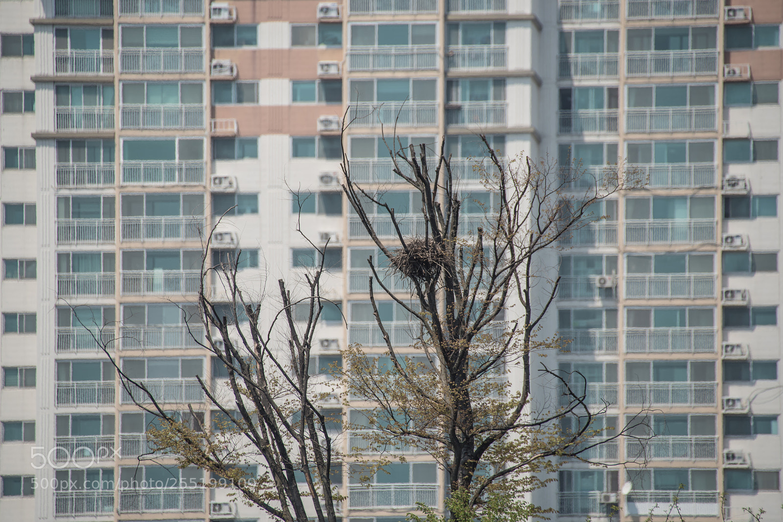 Pentax K-1 sample photo. Frame photography