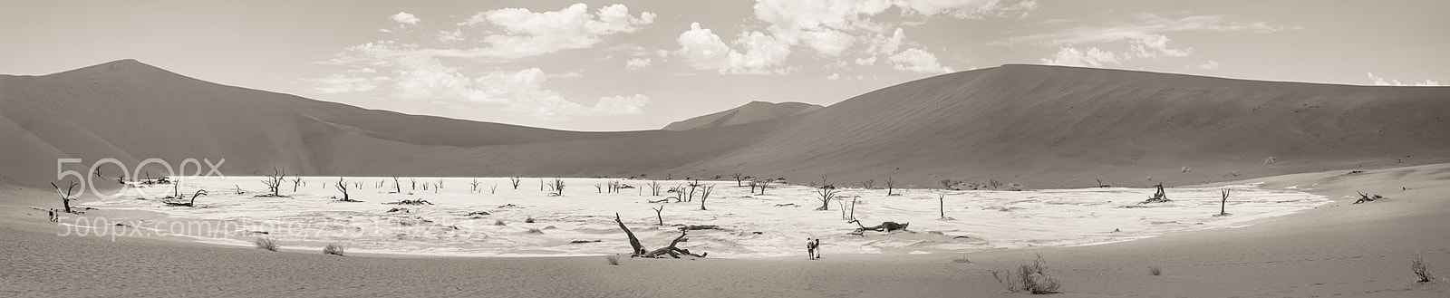 Fujifilm X-T1 sample photo. Deadvlei photography