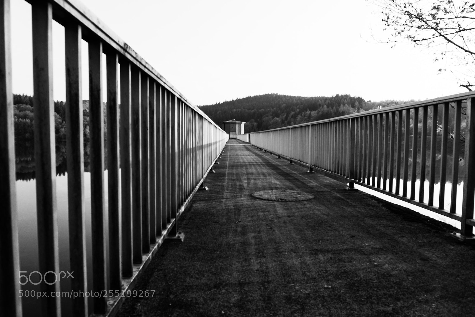 Sony a6000 sample photo. Lines photography