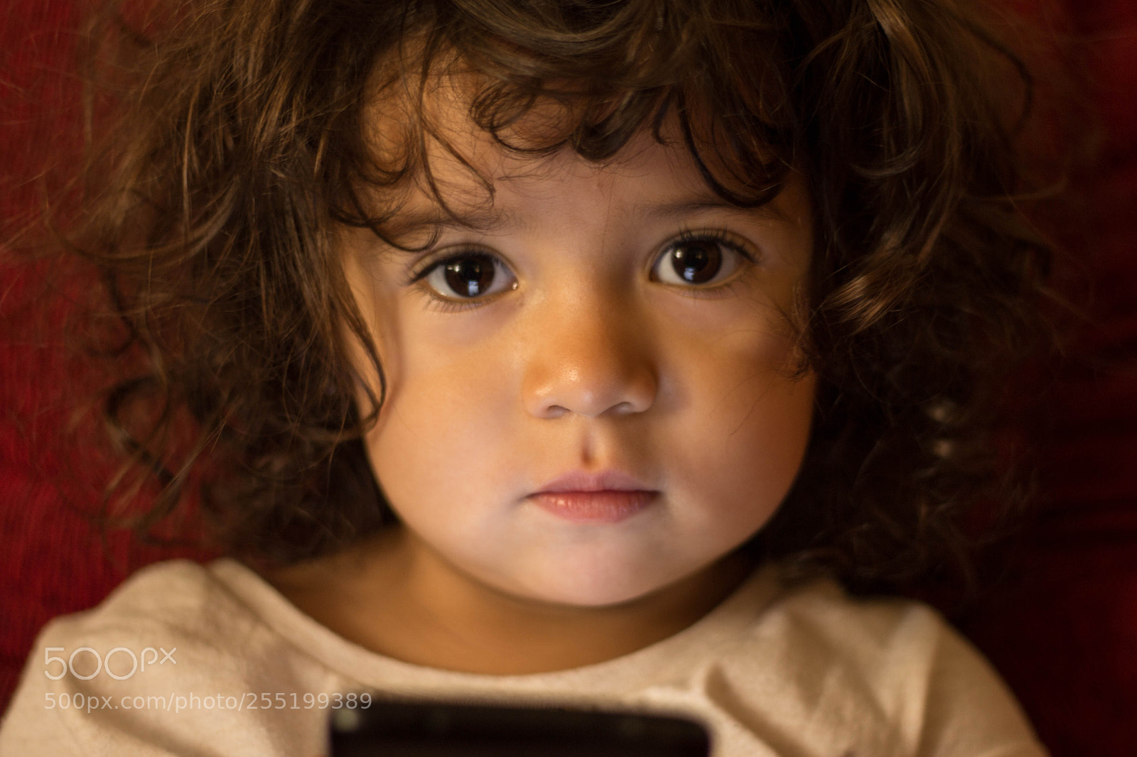 Canon EOS 700D (EOS Rebel T5i / EOS Kiss X7i) sample photo. Esos locos bajitos photography