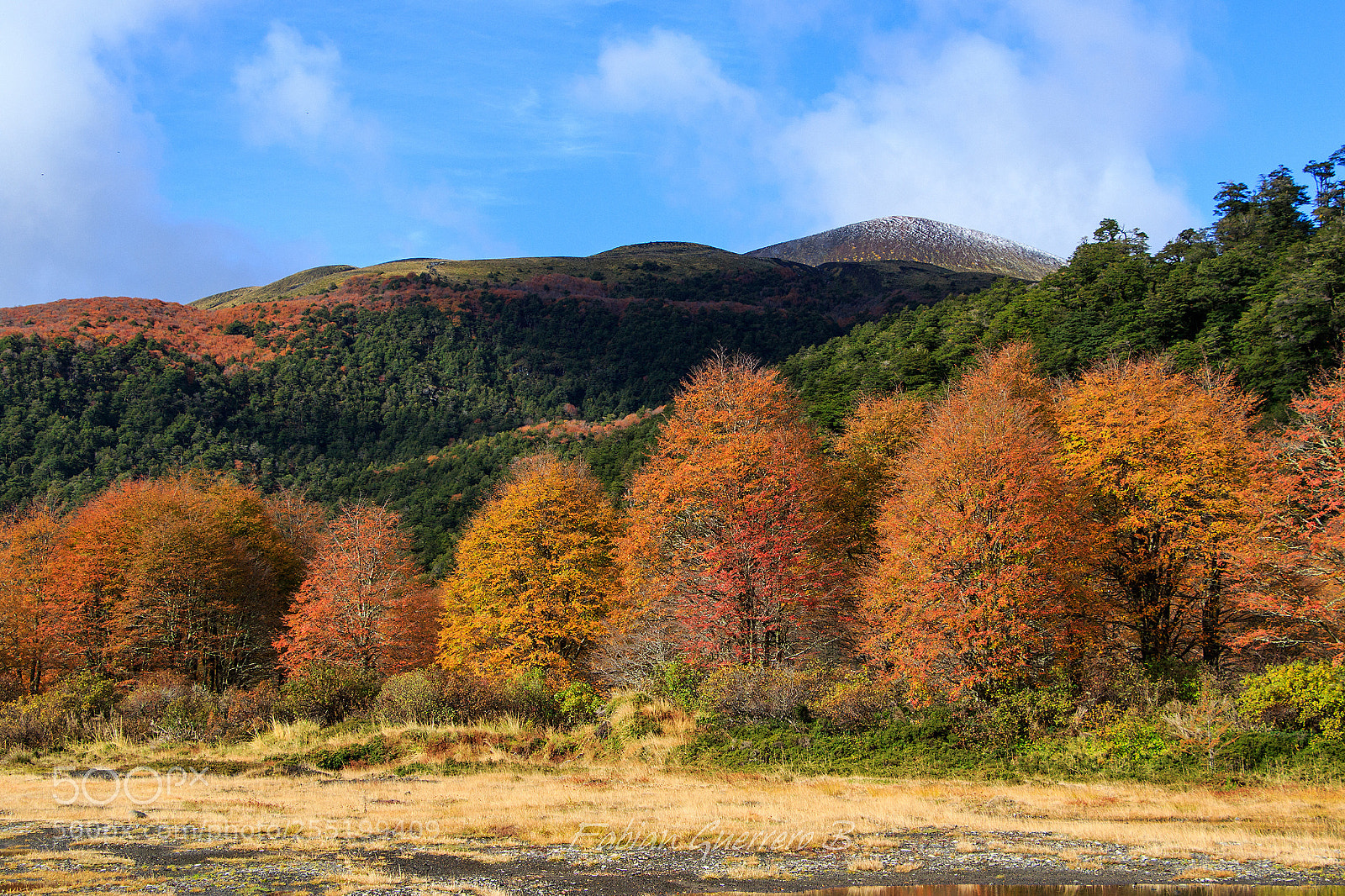 Canon EOS 7D Mark II sample photo. Autumn, light and color 2 photography