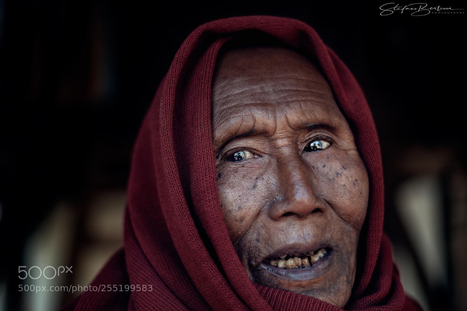 Sony a7R II sample photo. Dsc photography