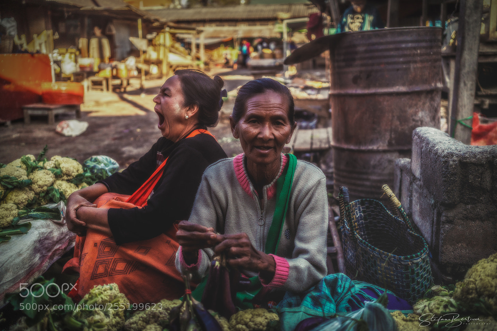 Sony a7R II sample photo. Dsc photography