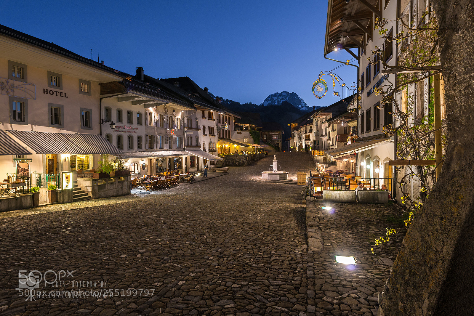 Nikon D800 sample photo. Gruyeres photography