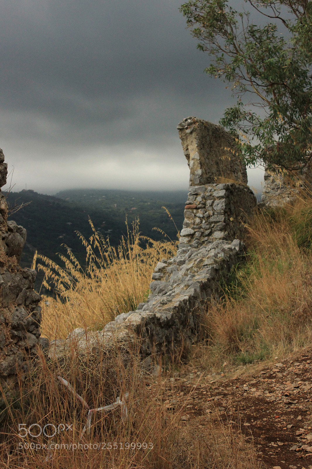 Canon EOS 550D (EOS Rebel T2i / EOS Kiss X4) sample photo. Cefalu photography