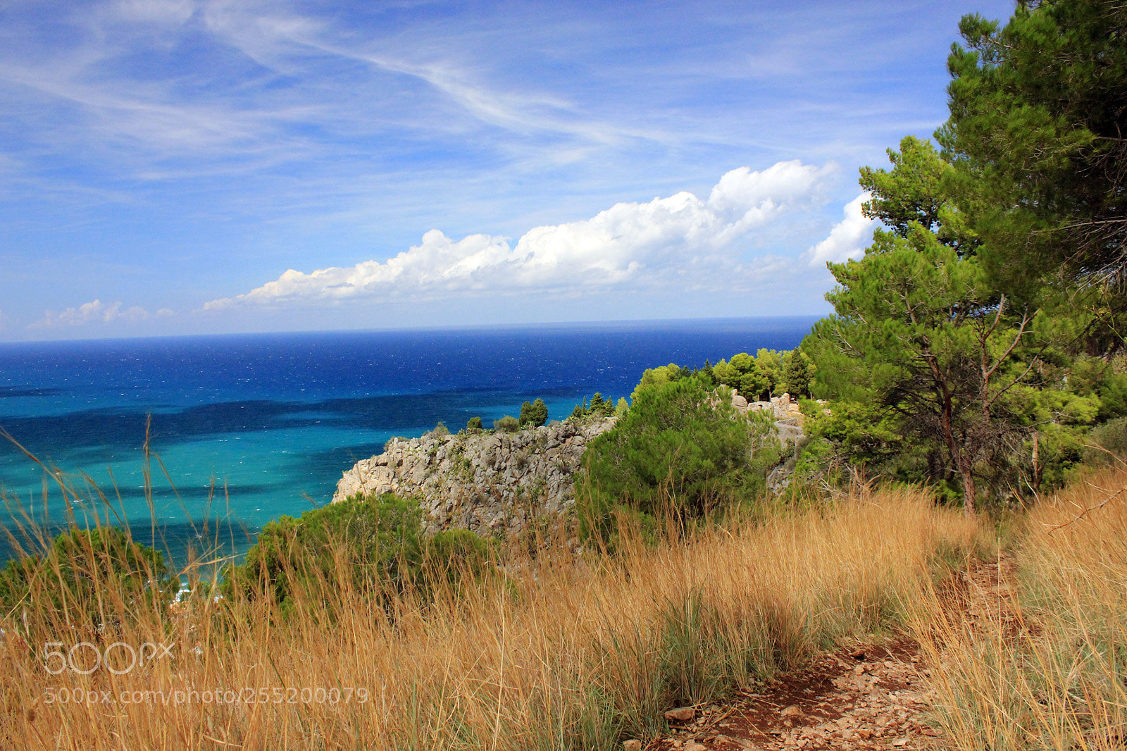 Canon EOS 550D (EOS Rebel T2i / EOS Kiss X4) sample photo. Cefalu photography
