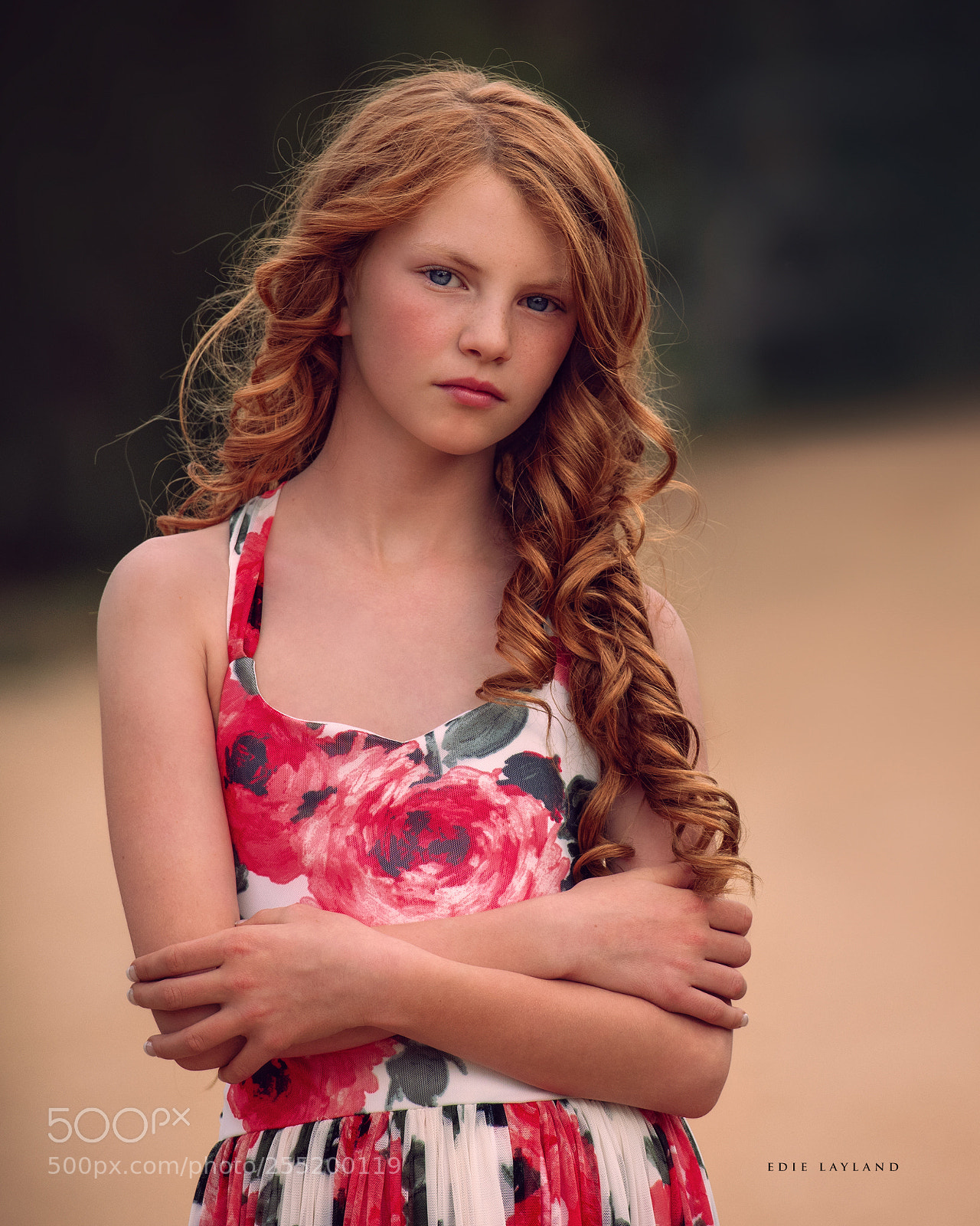 Nikon D850 sample photo. Moody red photography