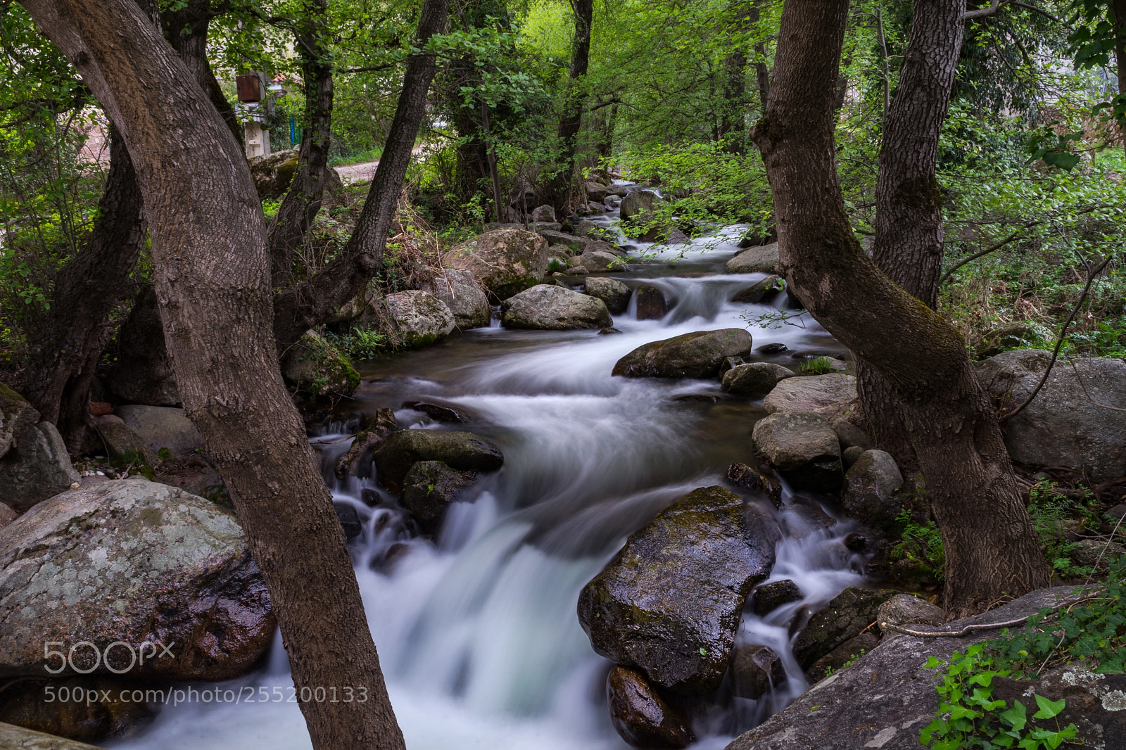 Sony a7 sample photo. Water through the stones photography