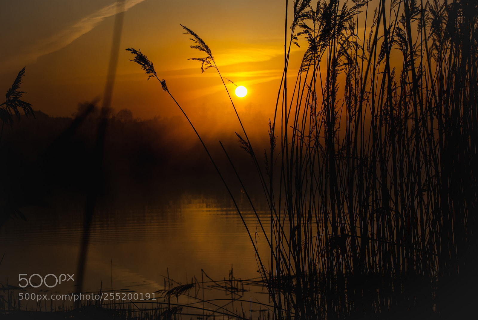 Pentax K10D sample photo. Sunrise photography