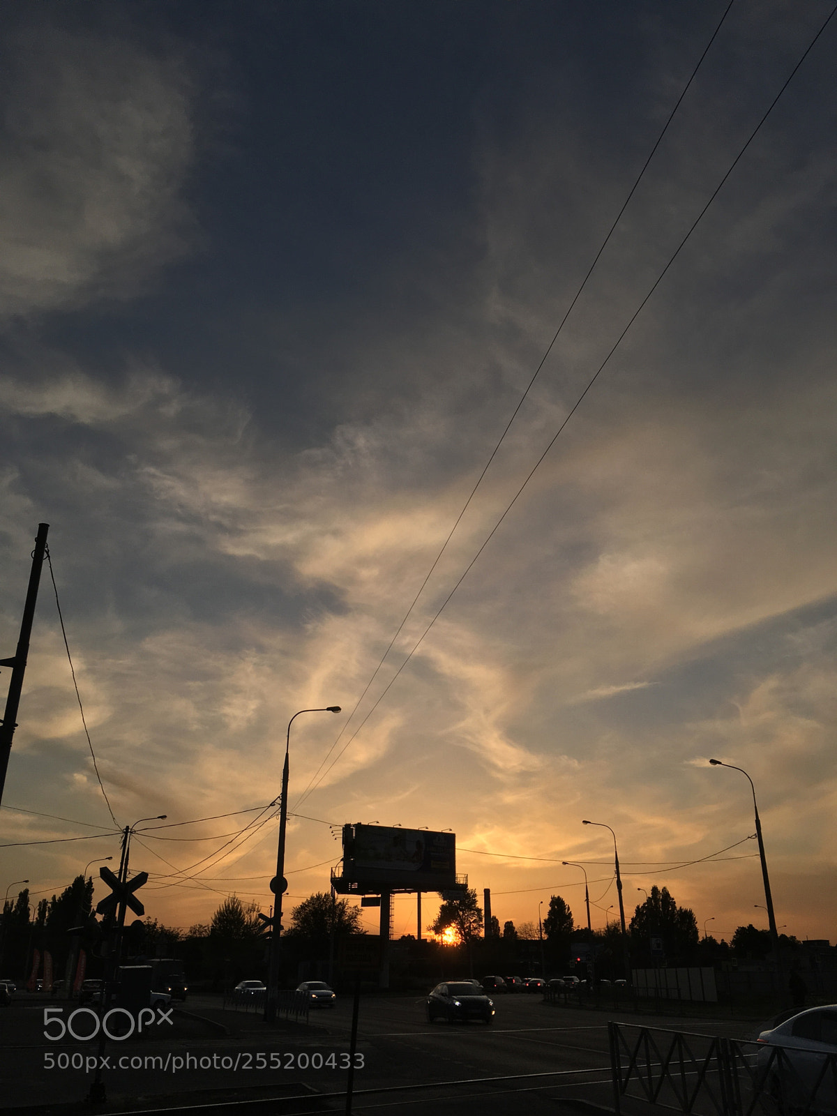 Apple iPhone SE sample photo. Untitled photography