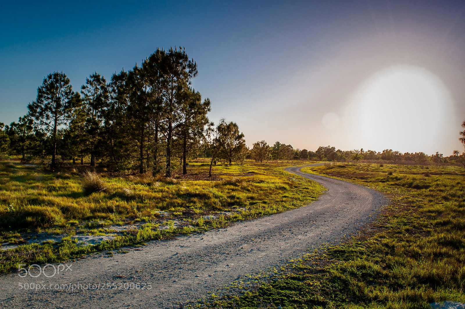 Nikon D5000 sample photo. Sunset over the trail photography