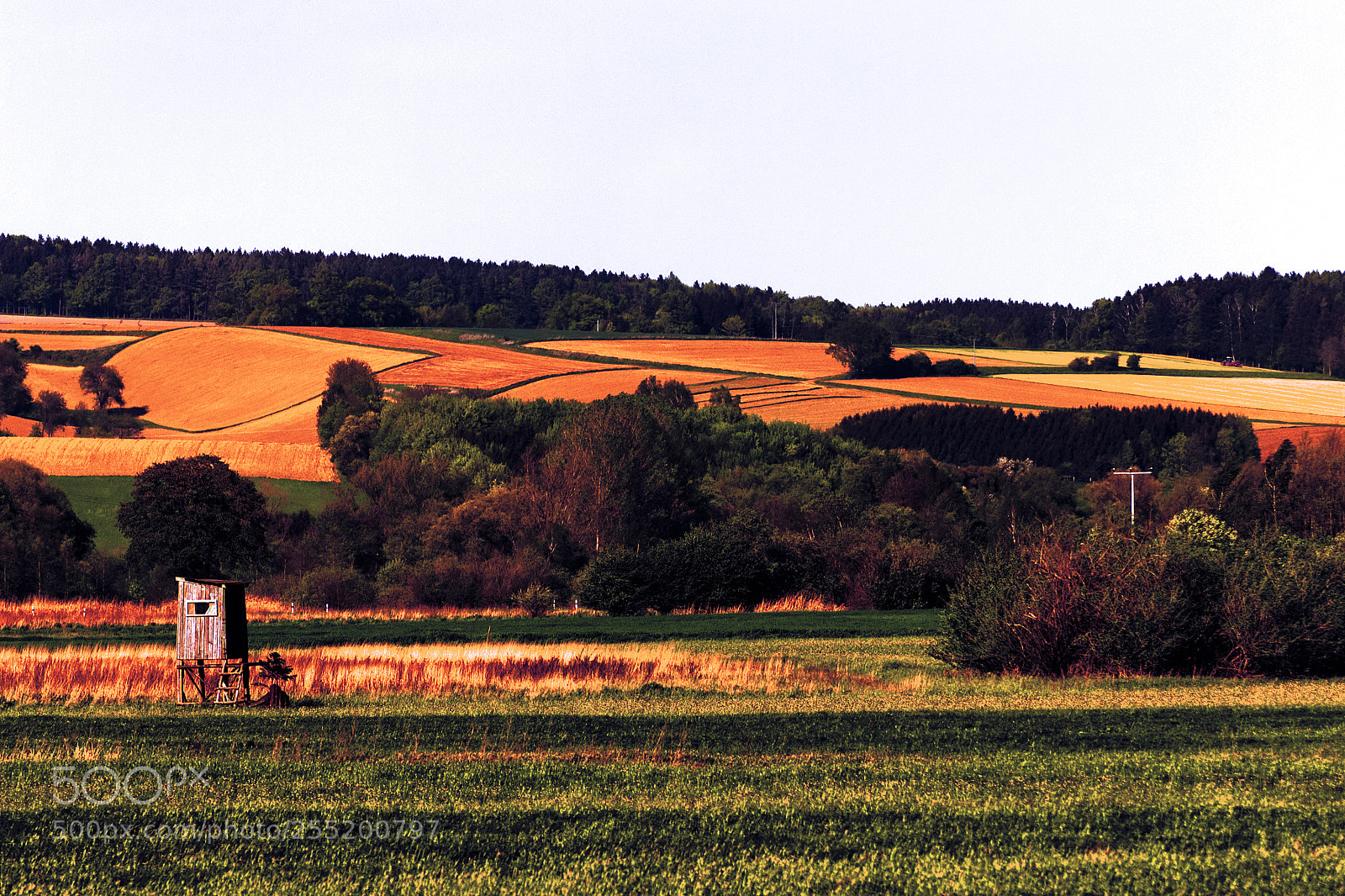 Canon EOS 600D (Rebel EOS T3i / EOS Kiss X5) sample photo. Hut in the grass photography