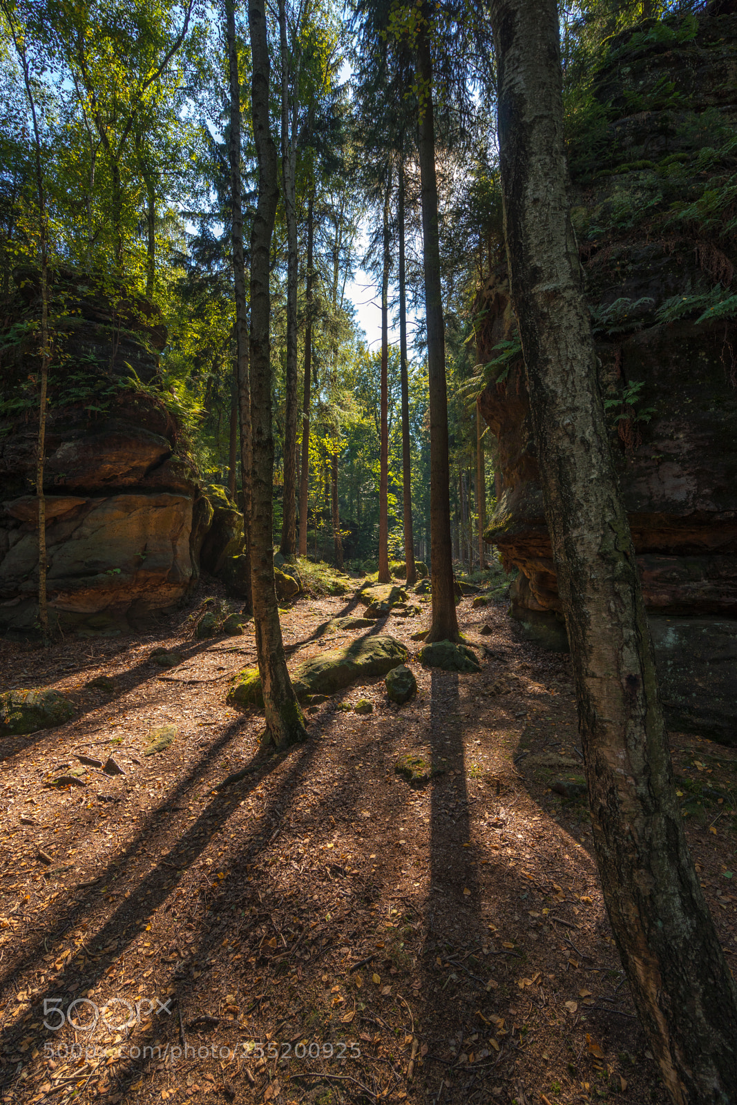 Sony a7 sample photo. Rise photography