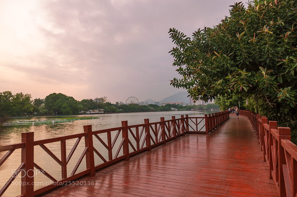 Canon EOS 5D Mark II sample photo. Wooden road along lake photography