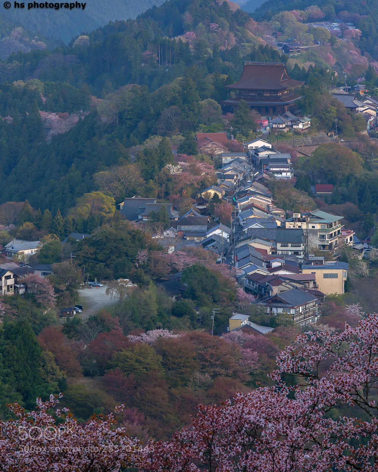 Nikon D810 sample photo. Ancient town #2 photography