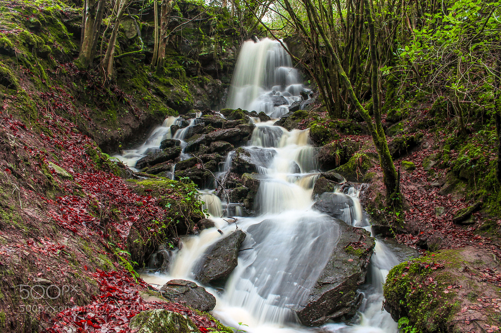 Canon EOS 1100D (EOS Rebel T3 / EOS Kiss X50) sample photo. Slieve bloom cascade photography