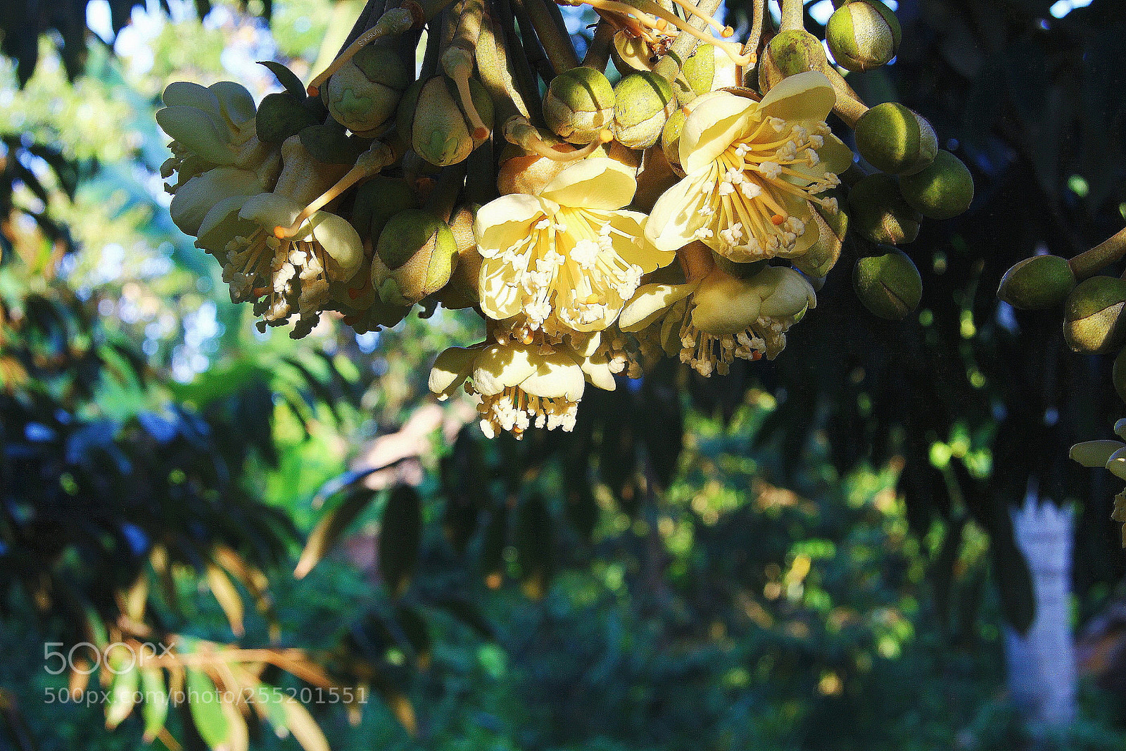 Canon EOS 700D (EOS Rebel T5i / EOS Kiss X7i) sample photo. Untitled photography