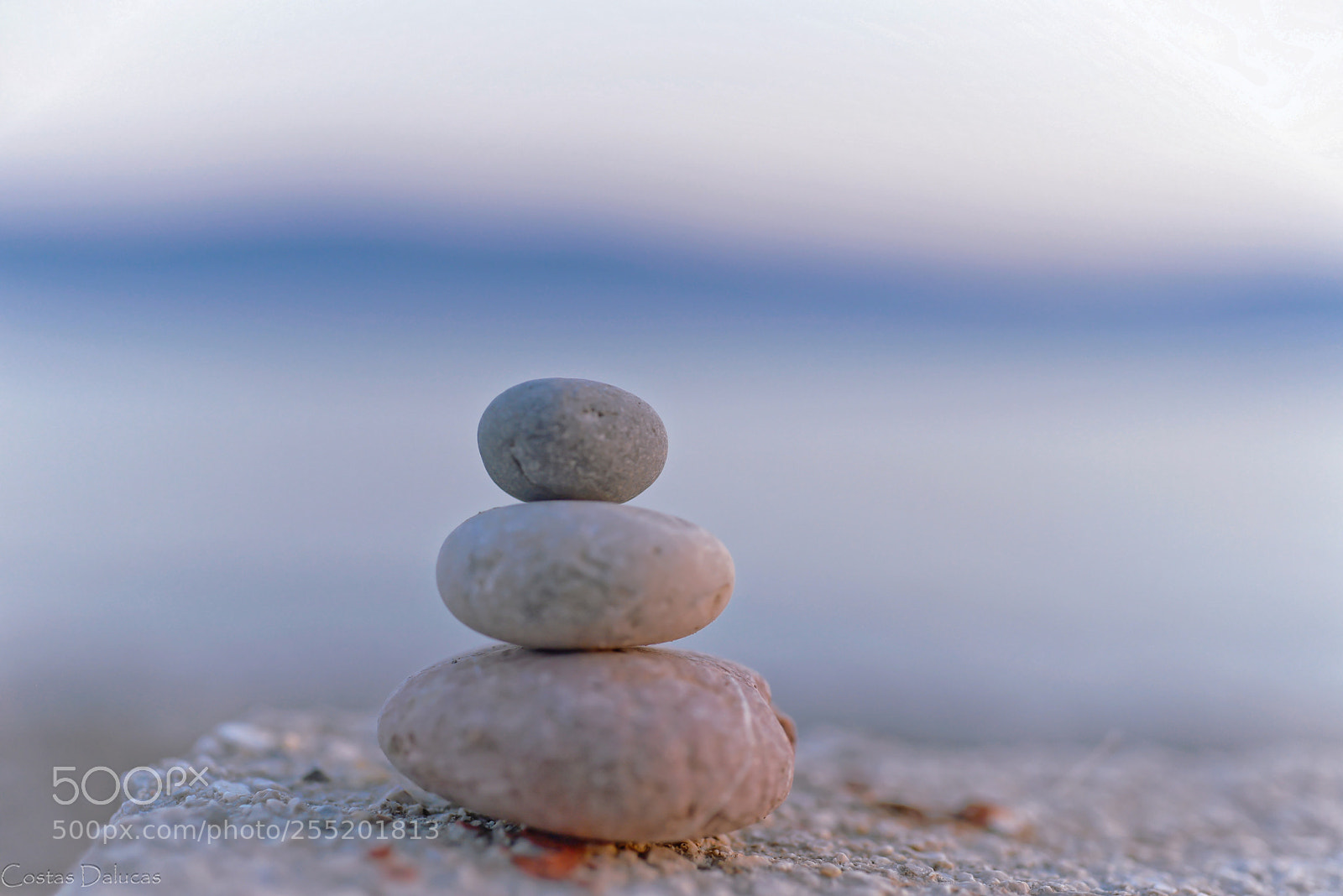 Nikon D610 sample photo. Inspiration photography