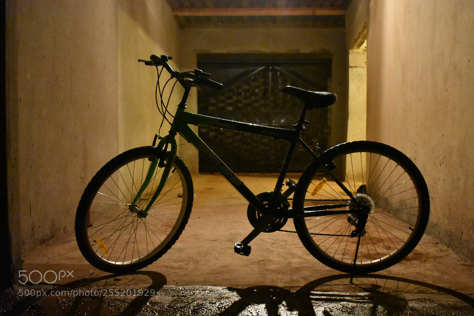 Nikon D3400 sample photo. Night ride photography