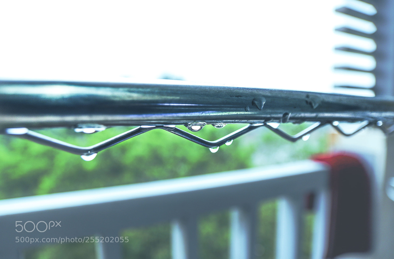 Canon EOS 7D Mark II sample photo. Rainy day photography