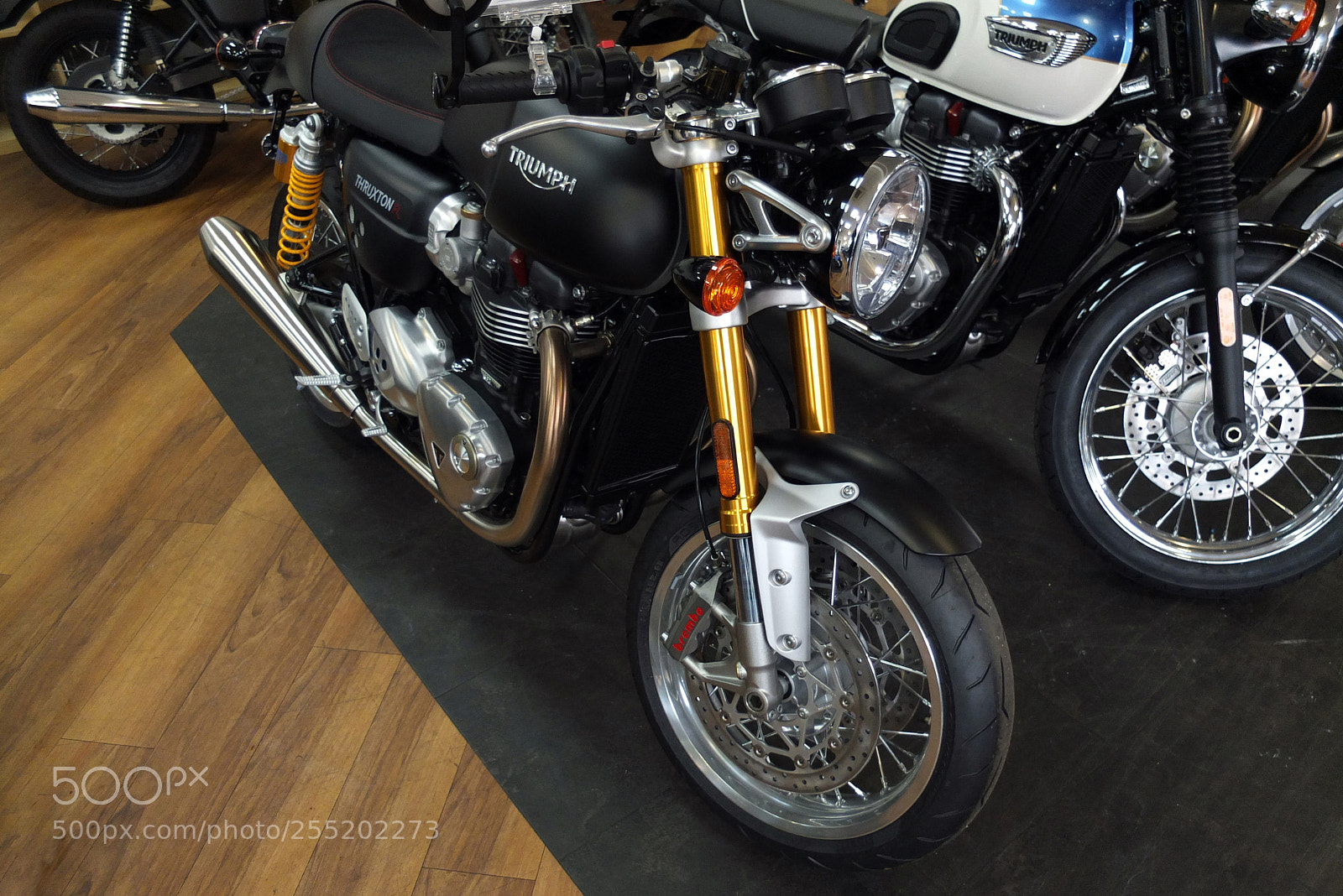 Fujifilm X10 sample photo. Trip to pure triumph photography