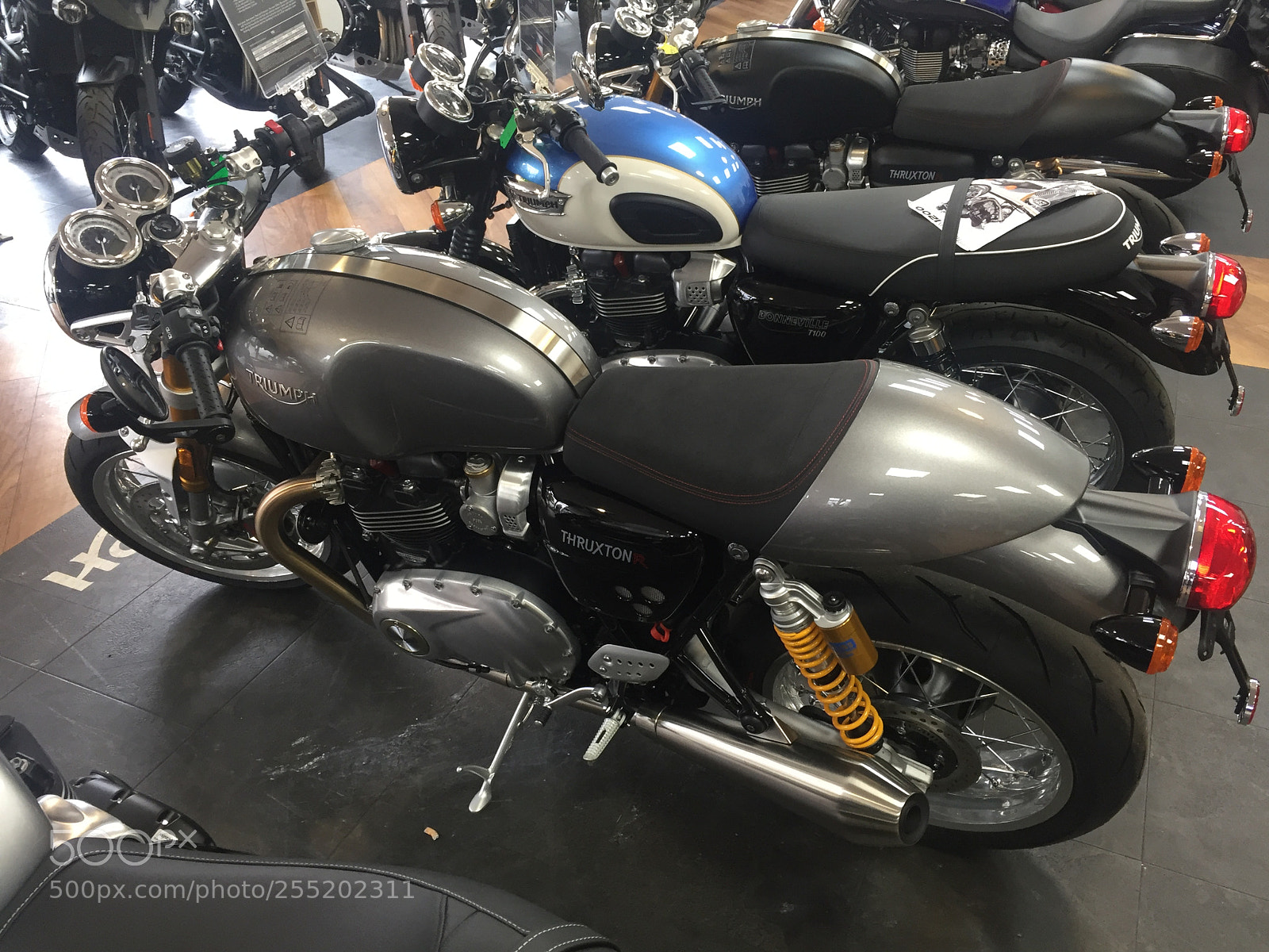 Apple iPhone 6 sample photo. Trip to pure triumph photography