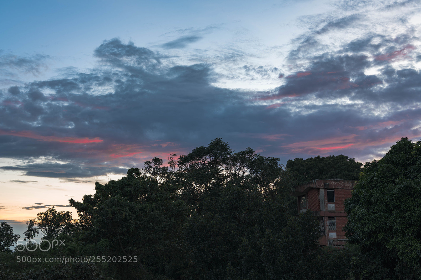 Nikon D850 sample photo. Red spots photography