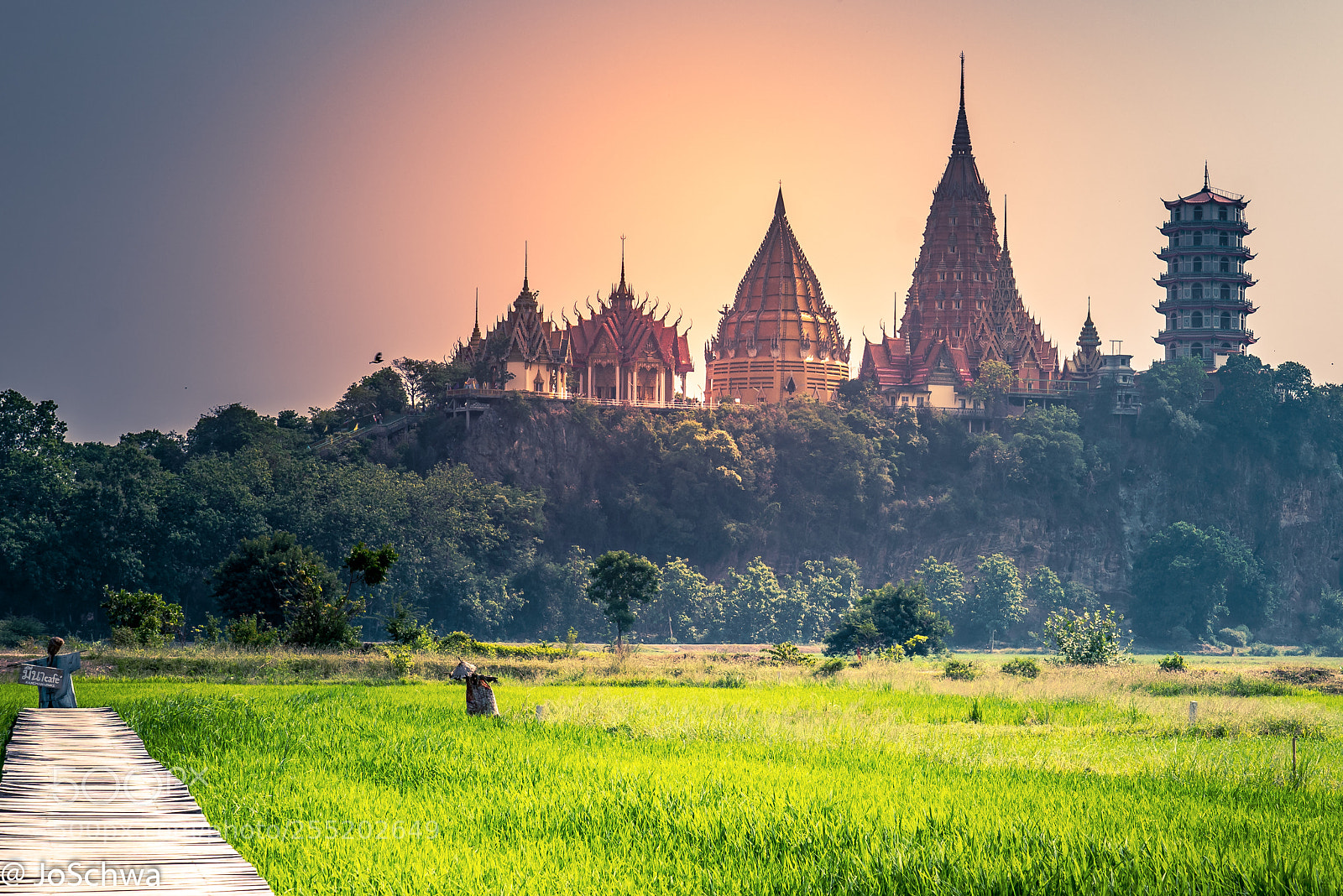 Sony a7R II sample photo. Ricefields and wat tham photography
