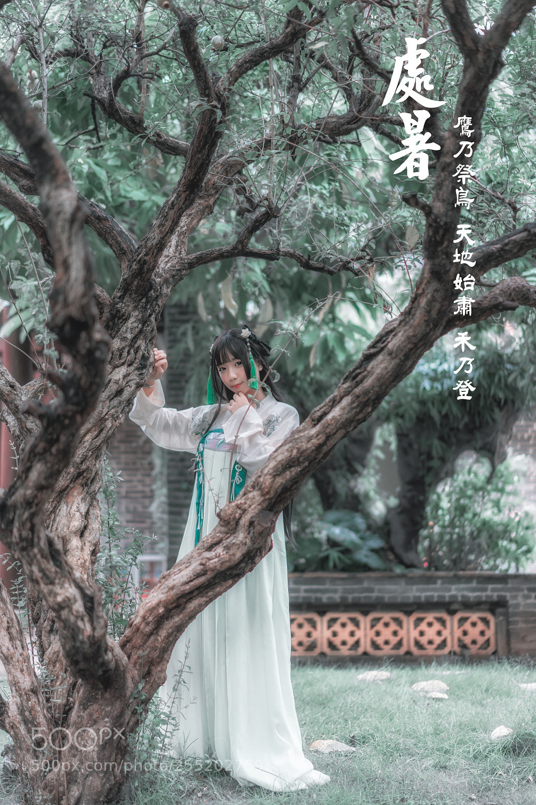 Sony a7 II sample photo. Chushu-处暑 photography