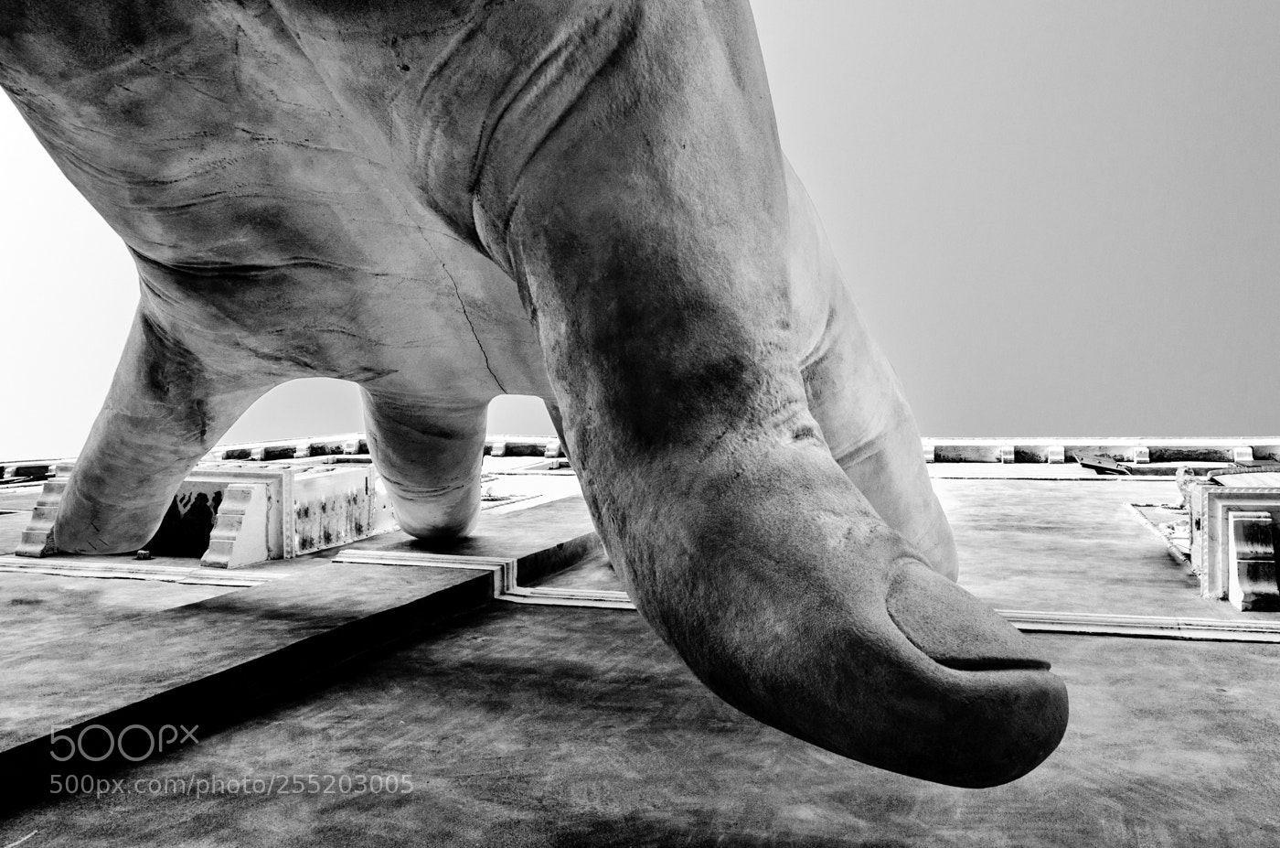 Nikon D5100 sample photo. A supporting hand photography